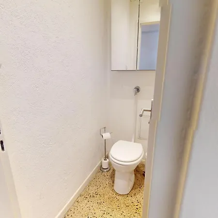 La Symphonie De L'orangerie * Strasbourg